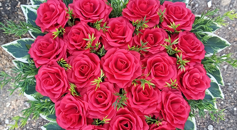 bukiet róż czerwonych